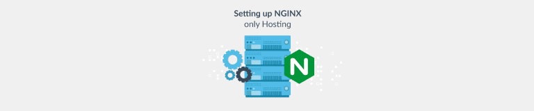 NGINX Hosting for Your Domain